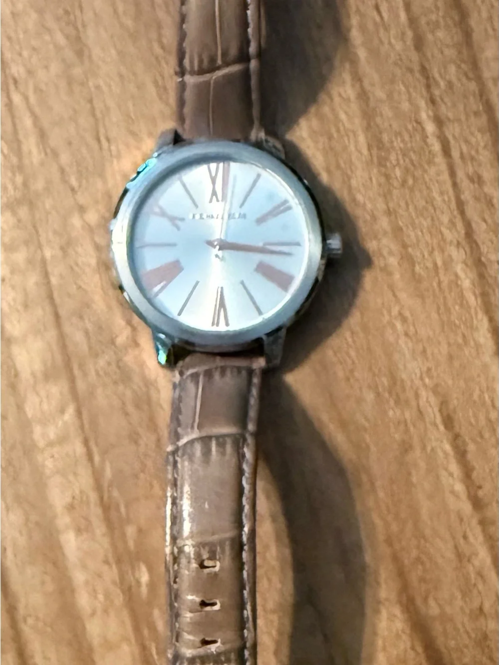 MICHAEL Michael Kors Women's Silver Dial Watch with Brown Leather Strap